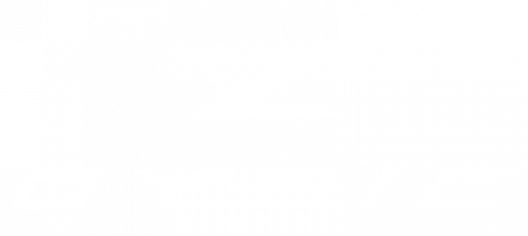 logotype_white